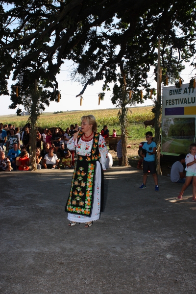 Sărbătoarea comunei Bogdănești - 