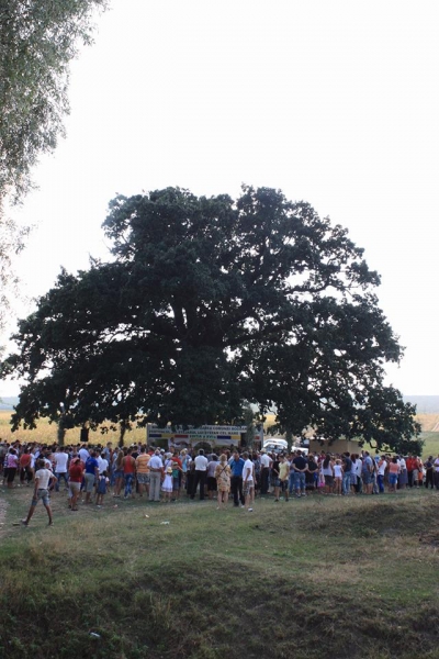 Sarbatoarea comunei Bogdanesti- Festivalul 