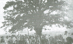 Festival la stejarul din Corlatesti